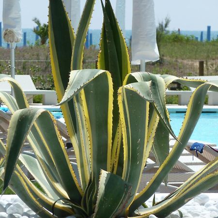 Hotel Mediterraneo Suite&Residence Lido di Jesolo Dış mekan fotoğraf